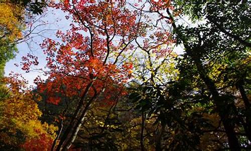 南江天气预报_巴中天气预报