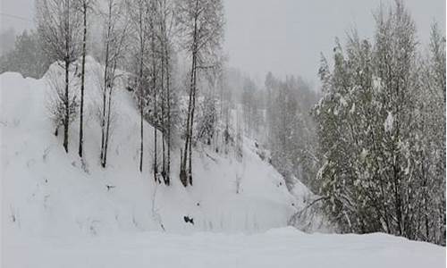 积石山天气_积石山天气预报15天查询